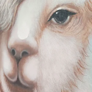 Obraz maľovaný na plátno - Lama detail 1